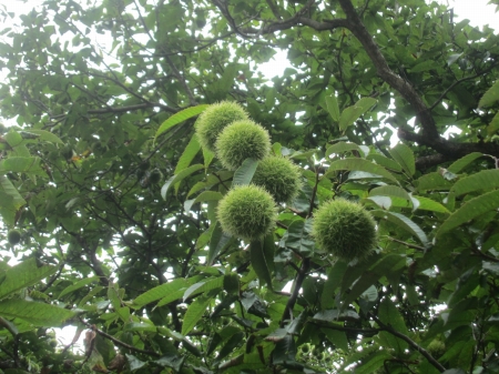 f:id:tarchi_y:20200908193456j:plain