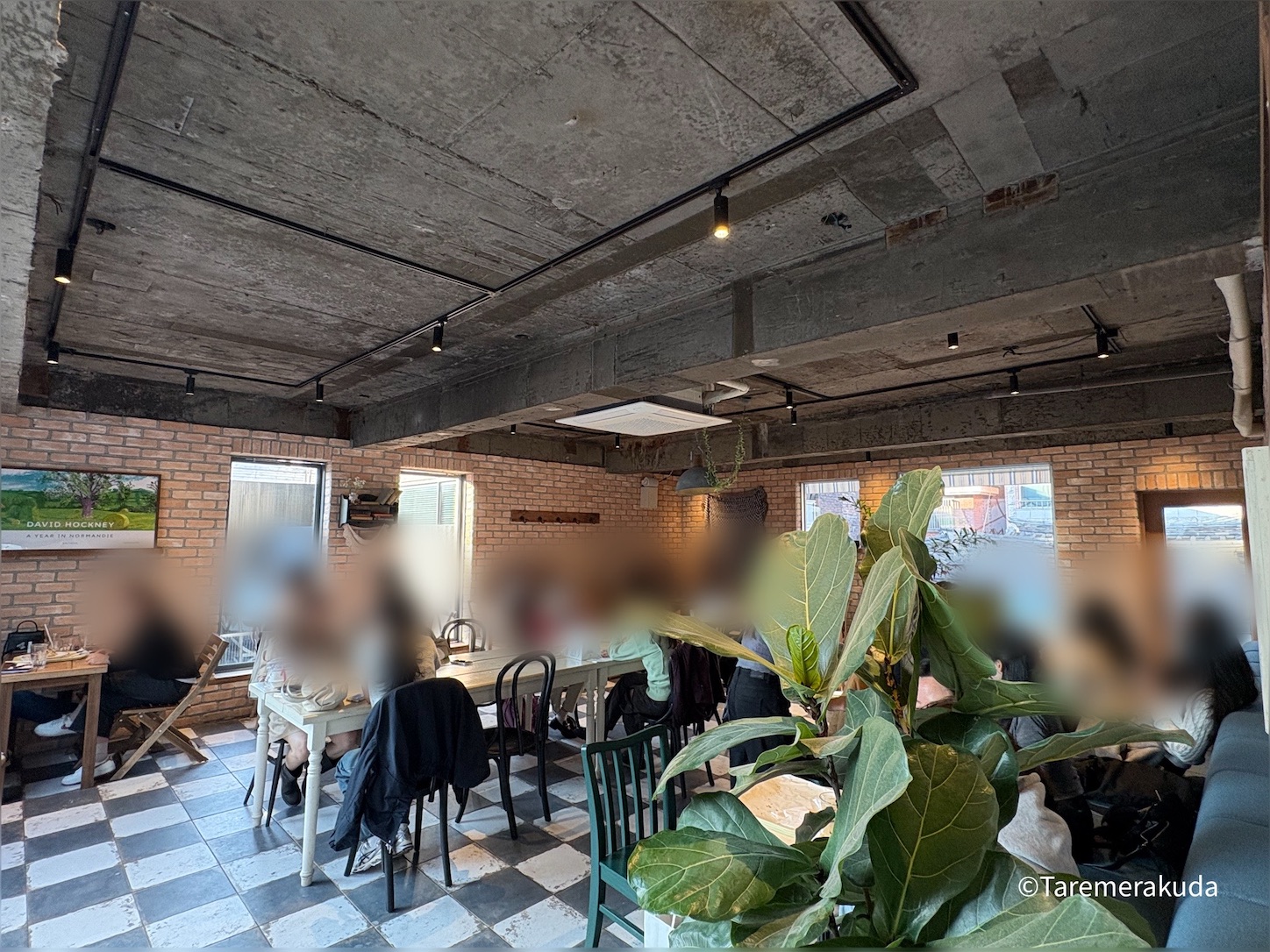 f:id:taremerakuda:20250104174348j:image