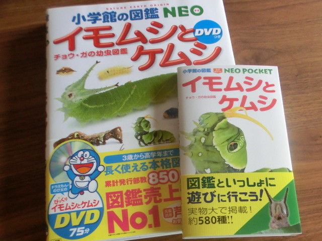 イモムシとケムシ め の日記 生きたる証 生きてる証拠 イモムシとケムシ め の日記 生きたる証 生きてる証拠