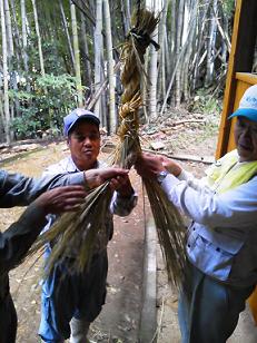 Photo Photo