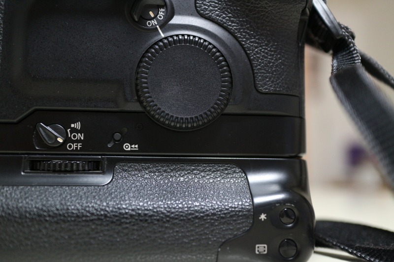 EOS-1V （使用説明書、ストラップあり） 中古カメラ機材の通販専門店 Antiquary（アンティクアリィ）