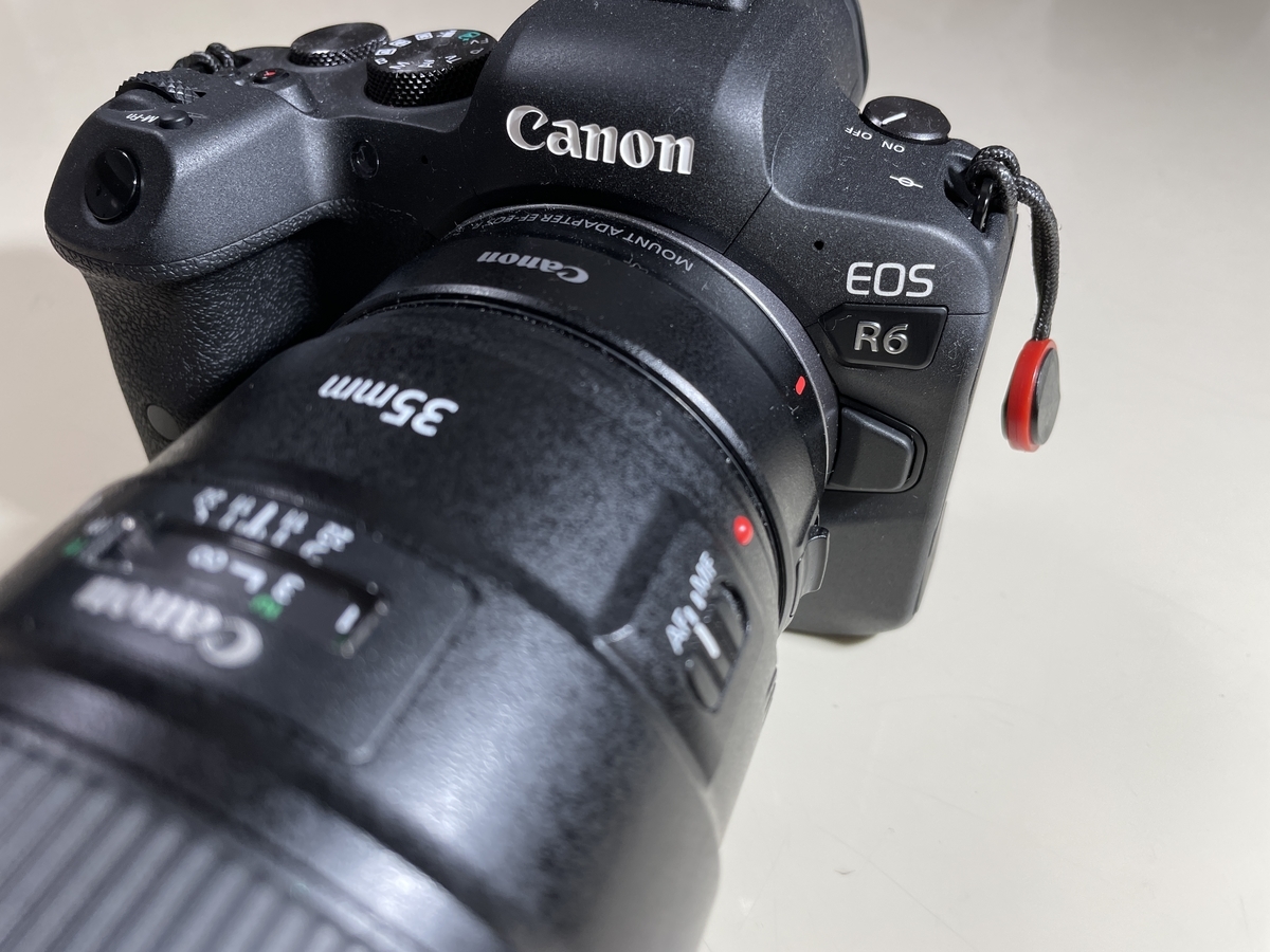 EOS R6を使って1年、大満足の使用レビュー～家族写真・スポーツ写真 