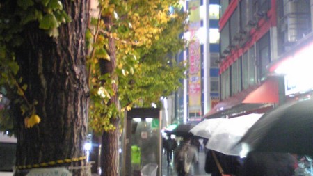 f:id:tarimo:20091205180900j:image f:id:tarimo:20091205180900j:image