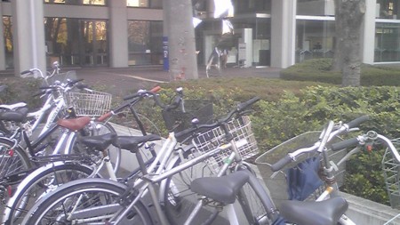 f:id:tarimo:20110326154000j:image f:id:tarimo:20110326154000j:image