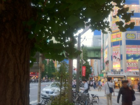 f:id:tarimo:20110521182056j:image f:id:tarimo:20110521182056j:image