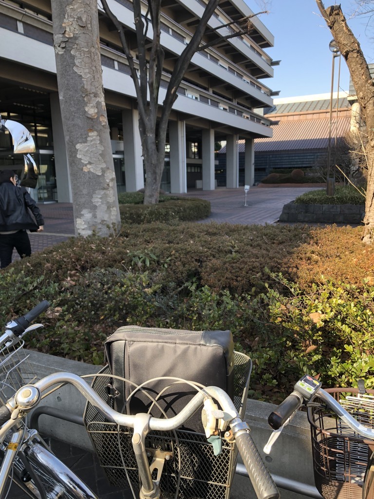 f:id:tarimo:20190202130307j:plain f:id:tarimo:20190202130307j:plain