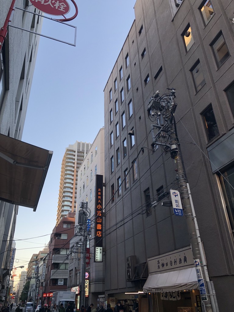 f:id:tarimo:20190202162538j:plain f:id:tarimo:20190202162538j:plain