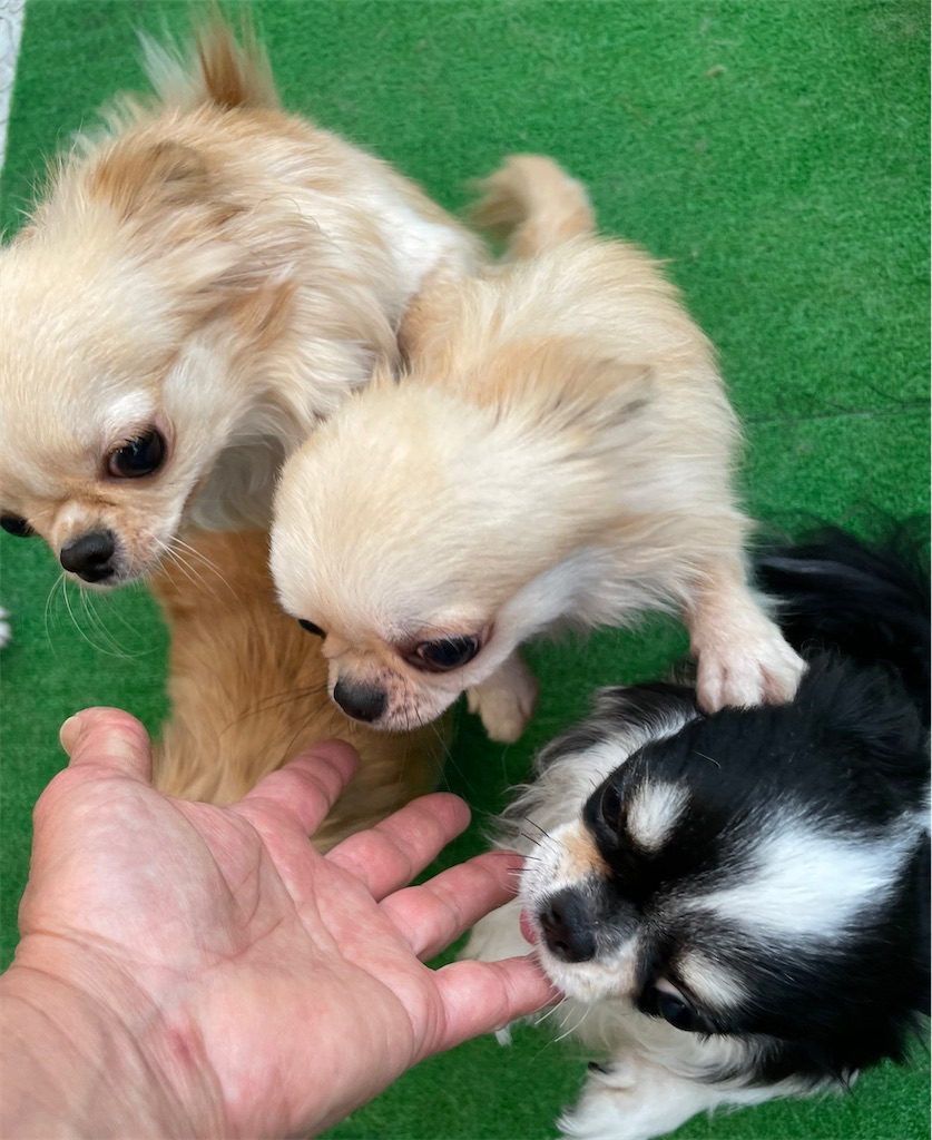 f:id:tariy2013:20211224001406j:image f:id:tariy2013:20211224001406j:image