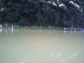 20080601175244