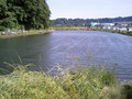 20080601175245