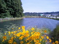 20080601175246