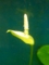 20090131140000