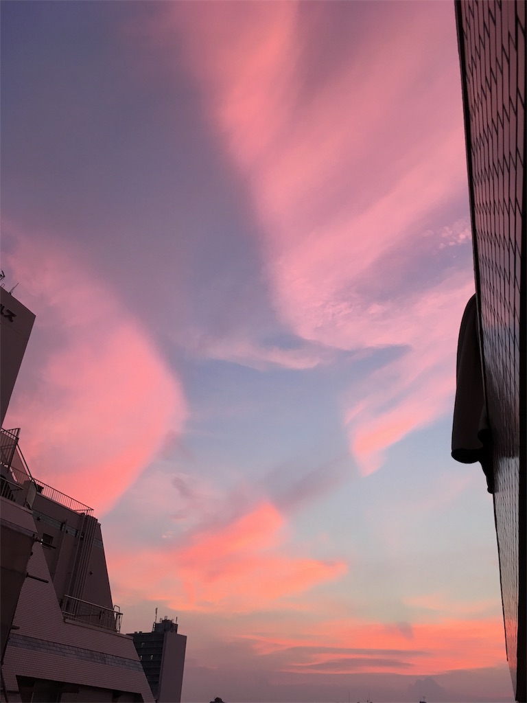 f:id:taro-sakakibara:20180909190246j:image f:id:taro-sakakibara:20180909190246j:image