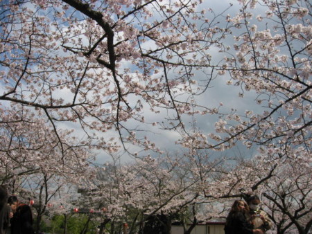 須磨寺公園にて花見