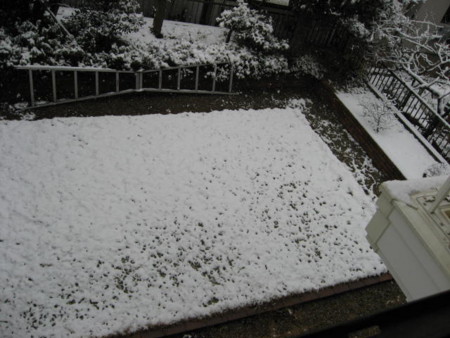 2011.2.11庭に雪が積もった