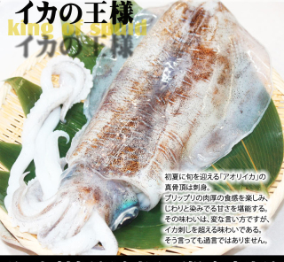 f:id:taro-x:20171022213709j:plain