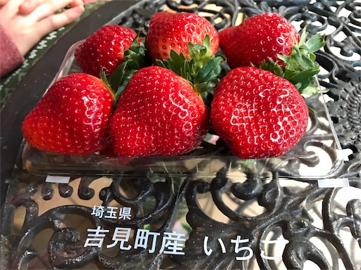 f:id:taro224:20170208210312j:image f:id:taro224:20170208210312j:image