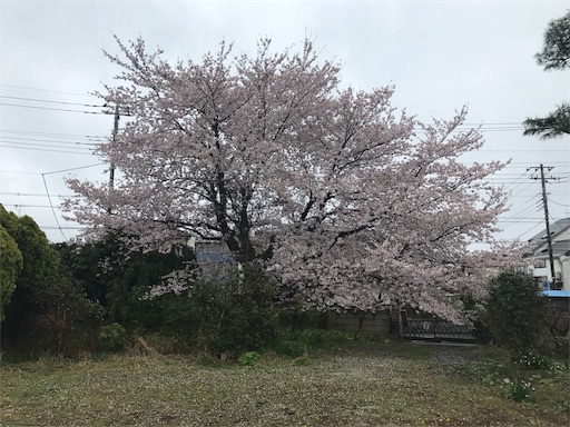 f:id:taro224:20170410165925j:image f:id:taro224:20170410165925j:image