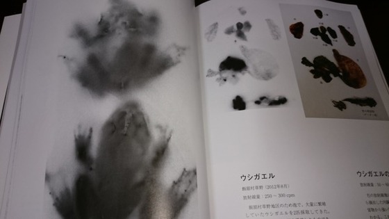 イメージ 3