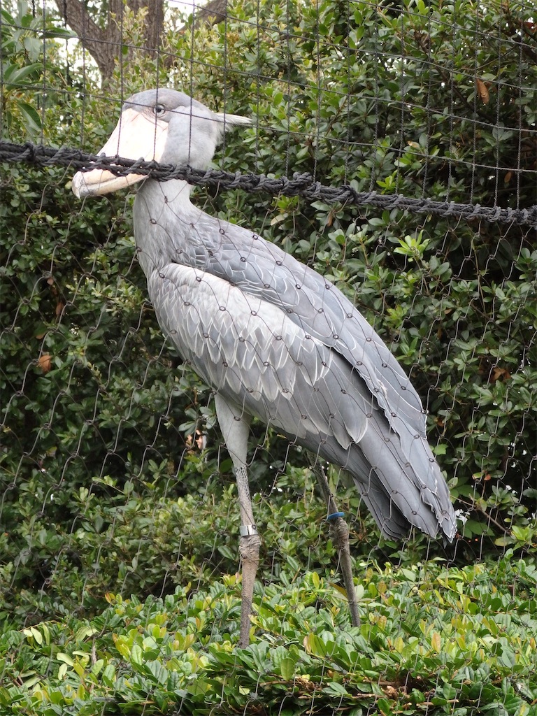 f:id:taro800:20190917115437j:image