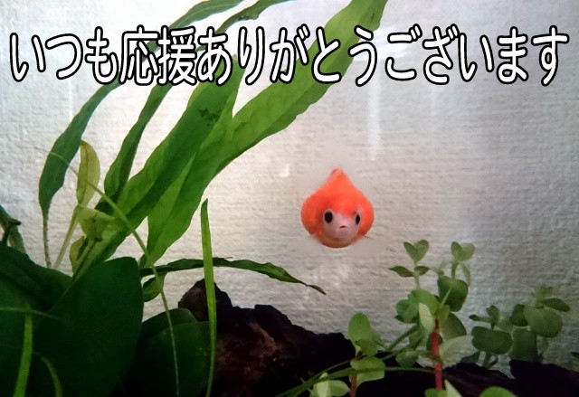 f:id:taro_2020:20210819154053j:image f:id:taro_2020:20210819154053j:image