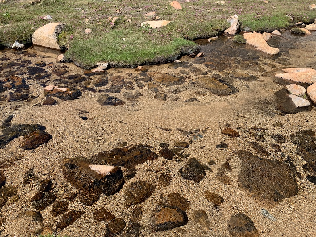 f:id:taro_log:20191105065924j:image