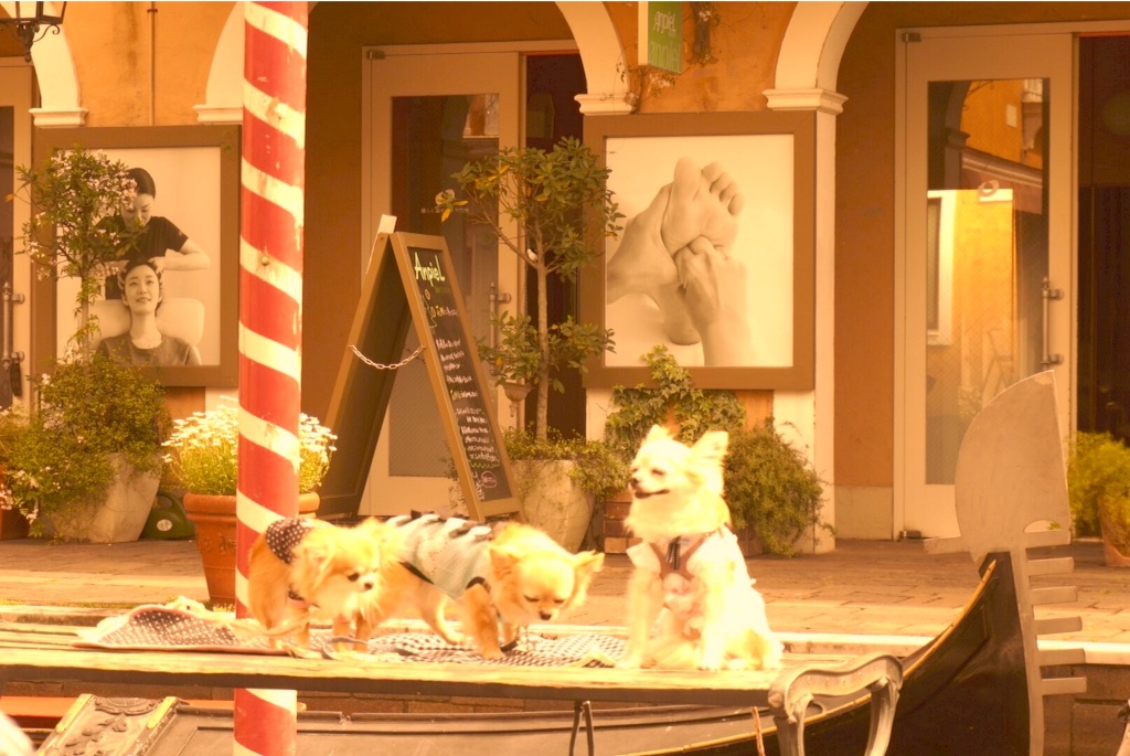 f:id:taroandjiro:20160521093320j:image