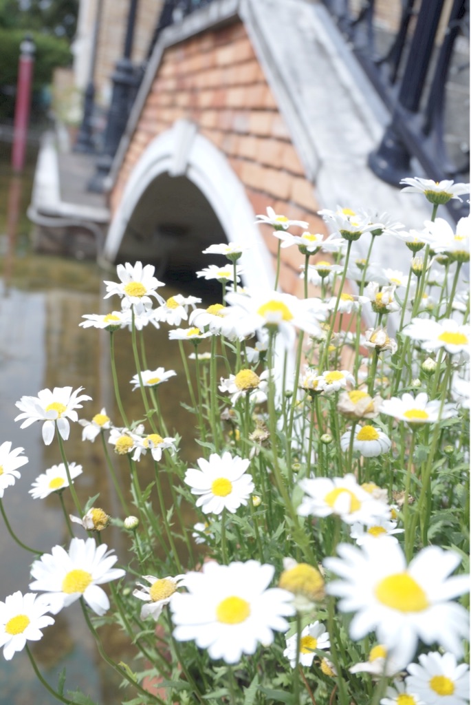 f:id:taroandjiro:20160521093404j:image