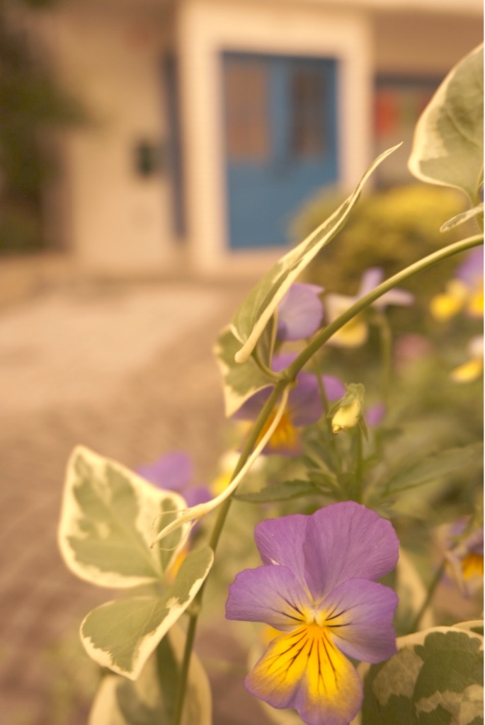 f:id:taroandjiro:20160521093457j:image