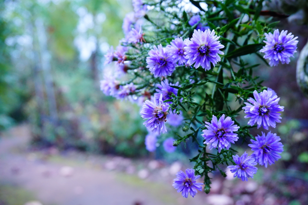 f:id:taroandjiro:20161009182901j:plain f:id:taroandjiro:20161009182901j:plain