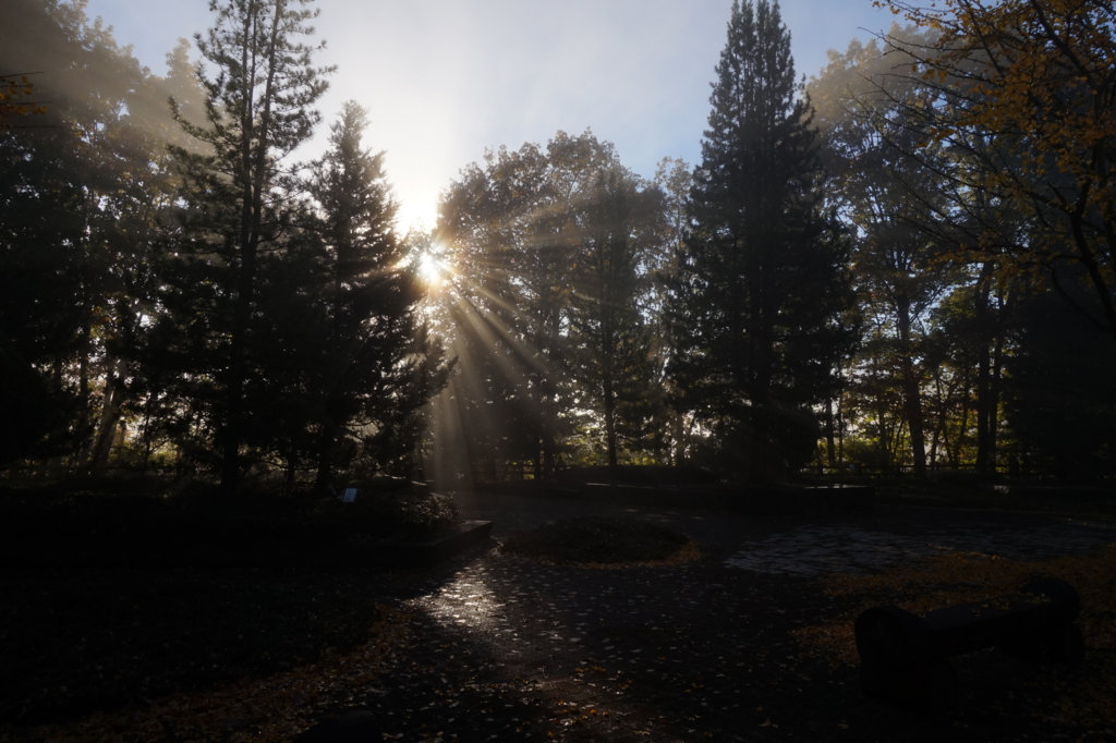 f:id:taroandjiro:20161114190242j:plain f:id:taroandjiro:20161114190242j:plain