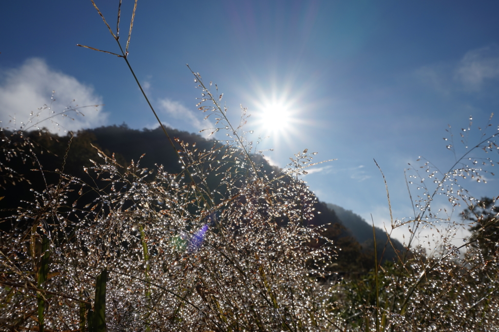 f:id:taroandjiro:20161114201739j:plain f:id:taroandjiro:20161114201739j:plain