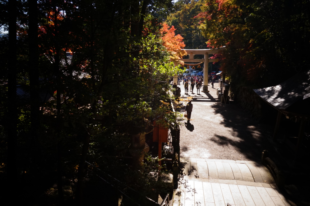 f:id:taroandjiro:20161114202648j:plain f:id:taroandjiro:20161114202648j:plain