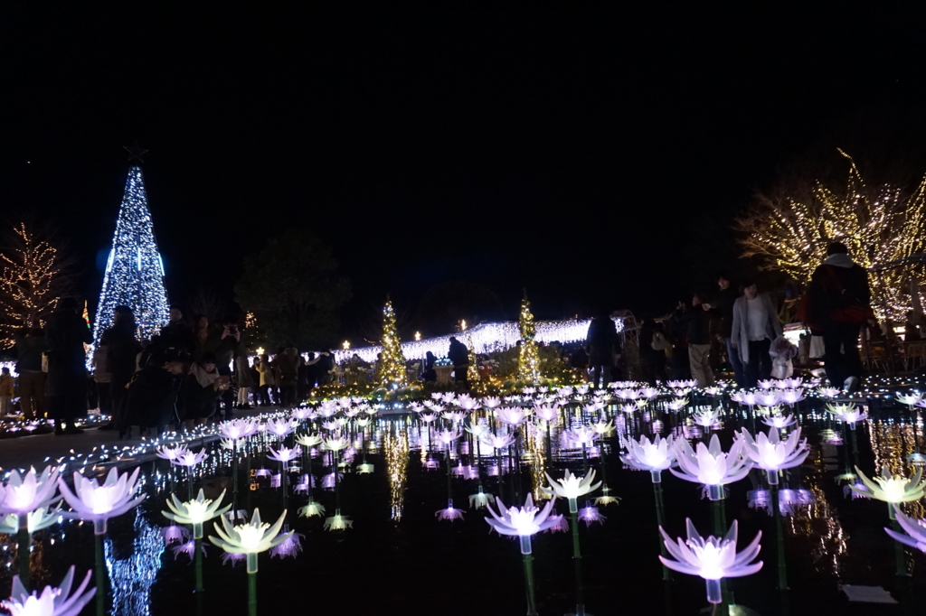 f:id:taroandjiro:20161226215123j:plain f:id:taroandjiro:20161226215123j:plain