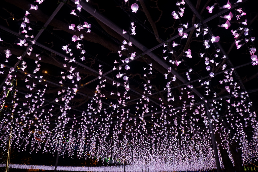 f:id:taroandjiro:20161226220259j:plain f:id:taroandjiro:20161226220259j:plain