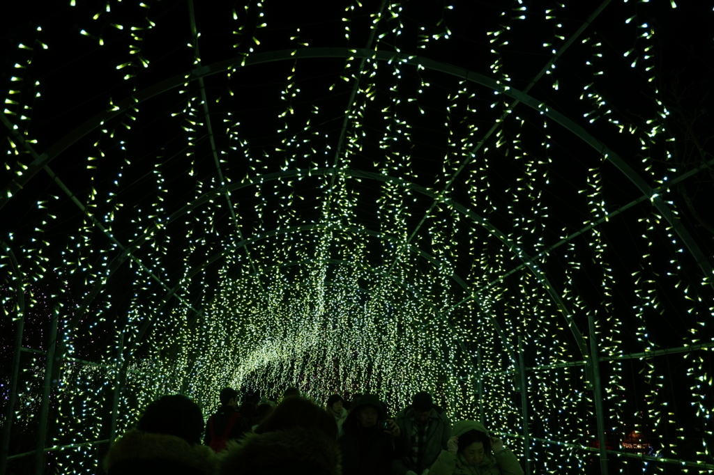 f:id:taroandjiro:20161226220359j:plain f:id:taroandjiro:20161226220359j:plain