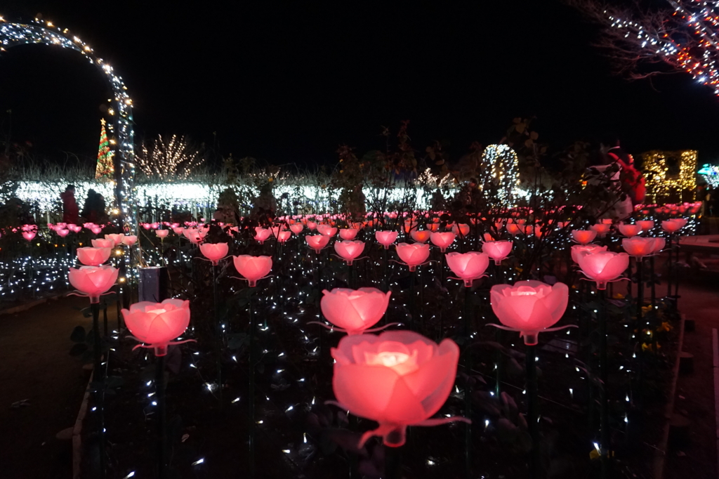 f:id:taroandjiro:20161226221037j:plain f:id:taroandjiro:20161226221037j:plain