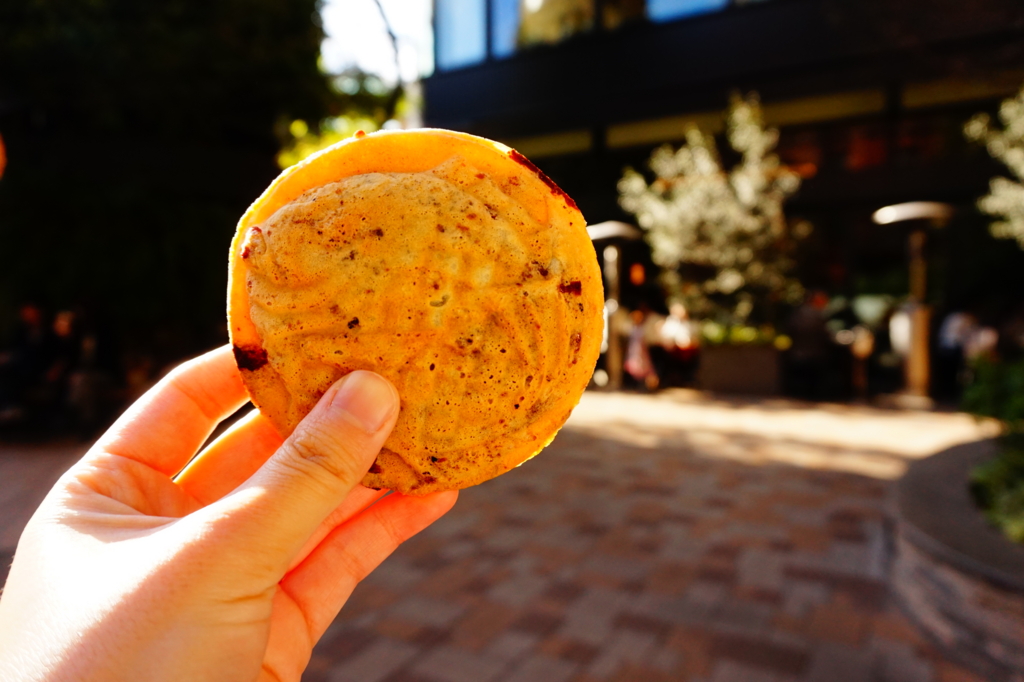 f:id:taroandjiro:20170110215919j:plain f:id:taroandjiro:20170110215919j:plain