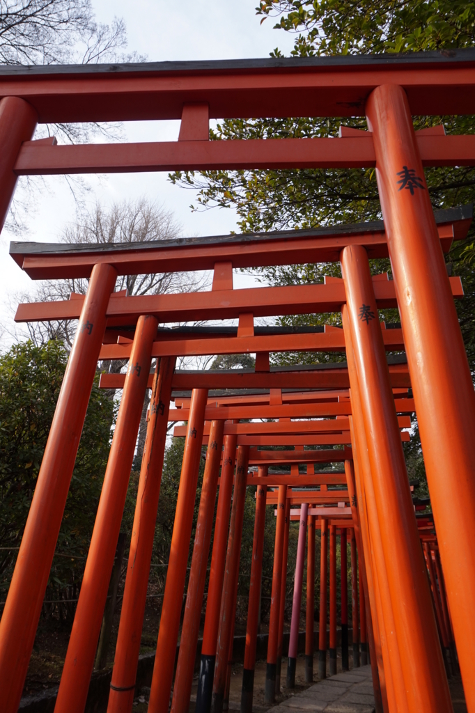 f:id:taroandjiro:20170129201450j:plain f:id:taroandjiro:20170129201450j:plain