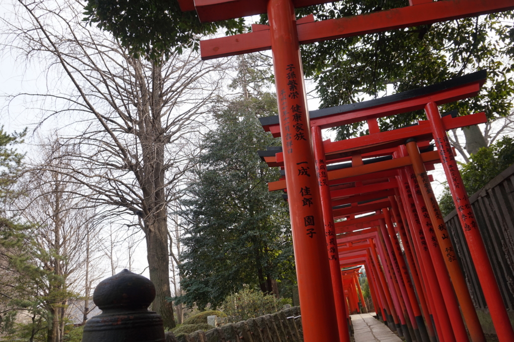 f:id:taroandjiro:20170129201605j:plain f:id:taroandjiro:20170129201605j:plain