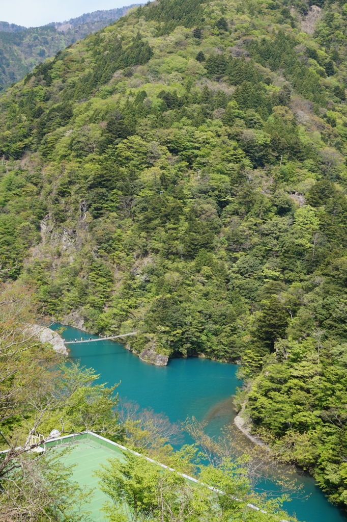 f:id:taroandjiro:20170612202009j:plain f:id:taroandjiro:20170612202009j:plain