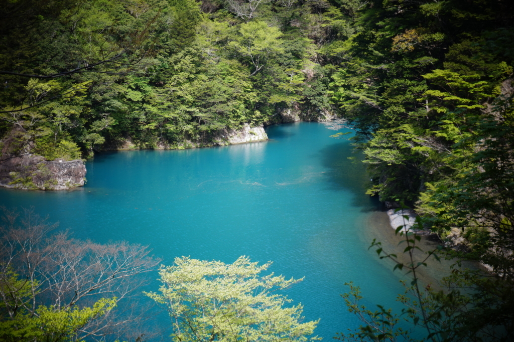 f:id:taroandjiro:20170612202201j:plain f:id:taroandjiro:20170612202201j:plain