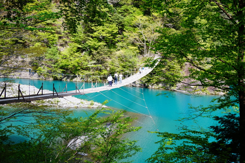 f:id:taroandjiro:20170612203359j:plain f:id:taroandjiro:20170612203359j:plain