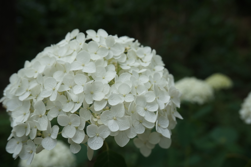 f:id:taroandjiro:20170618214550j:plain f:id:taroandjiro:20170618214550j:plain