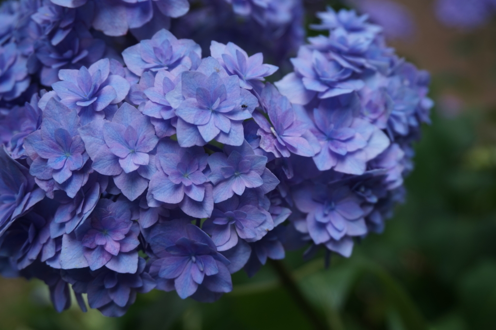 f:id:taroandjiro:20170618214818j:plain f:id:taroandjiro:20170618214818j:plain