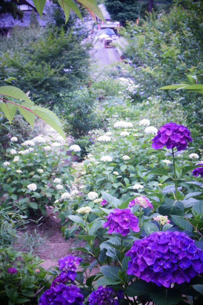 f:id:taroandjiro:20170618215416j:plain f:id:taroandjiro:20170618215416j:plain