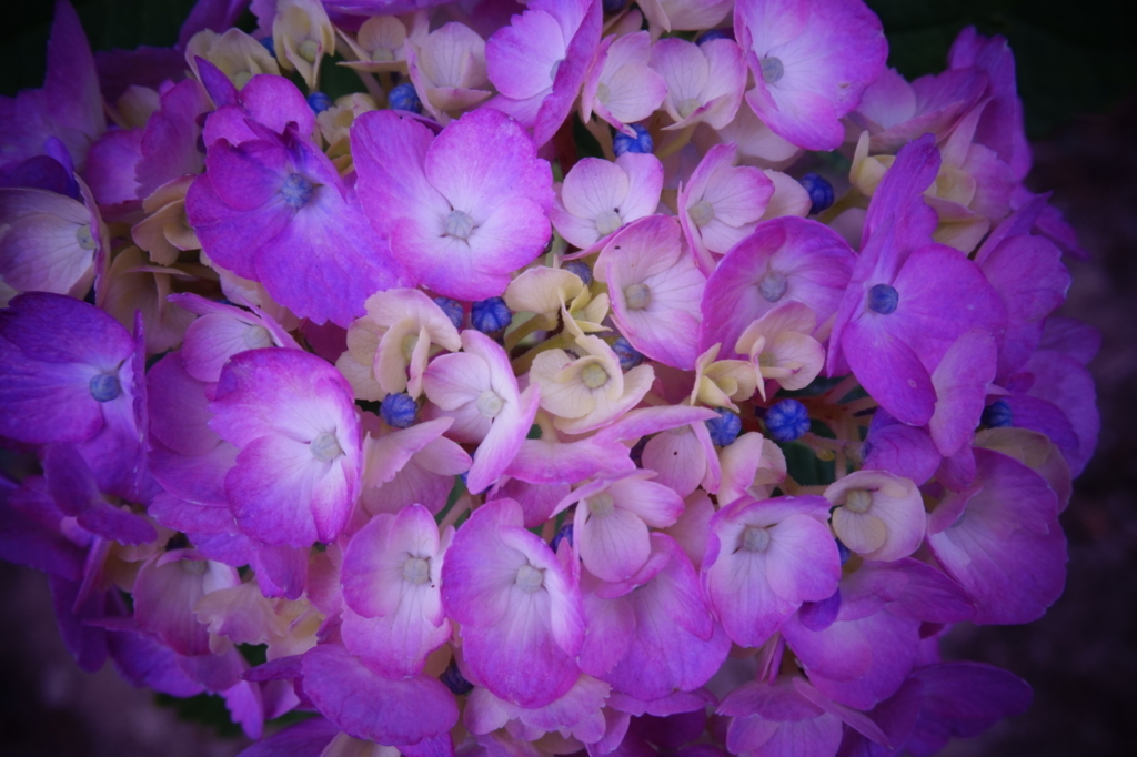 f:id:taroandjiro:20170618215540j:plain f:id:taroandjiro:20170618215540j:plain