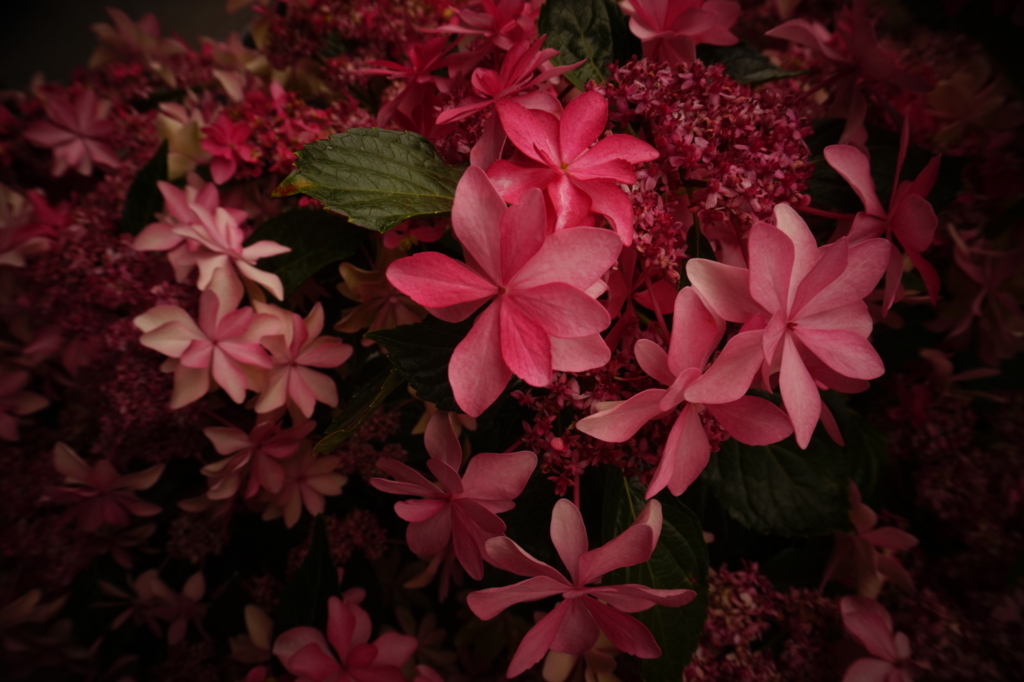 f:id:taroandjiro:20170618220955j:plain f:id:taroandjiro:20170618220955j:plain