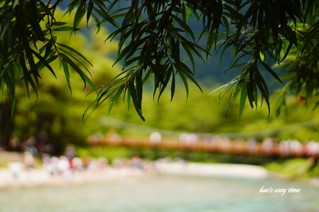 f:id:taroandjiro:20170814114318j:plain f:id:taroandjiro:20170814114318j:plain