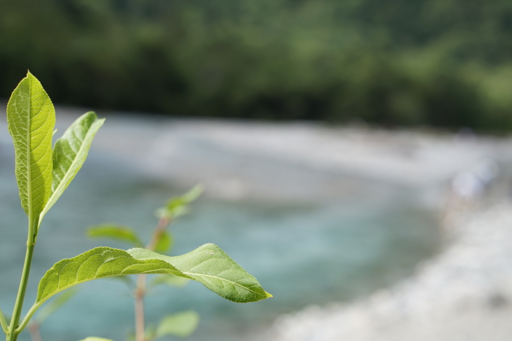 f:id:taroandjiro:20170814114526j:plain f:id:taroandjiro:20170814114526j:plain